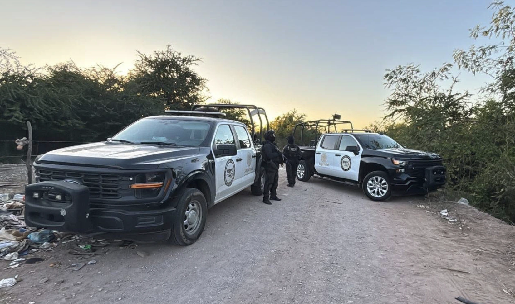 Con AMLO, 86.9 homicidios dolosos diarios; en febrero de 2026, 38 al día