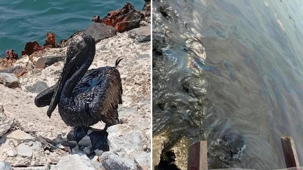 La refinería Dos Bocas vuelve a encender alertas por un derrame de hidrocarburos al río Seco