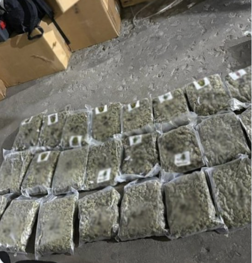 "Los Chapitos" controlan no sólo Sinaloa, sino también BC y Sonora, señalan fiscales de Nueva York