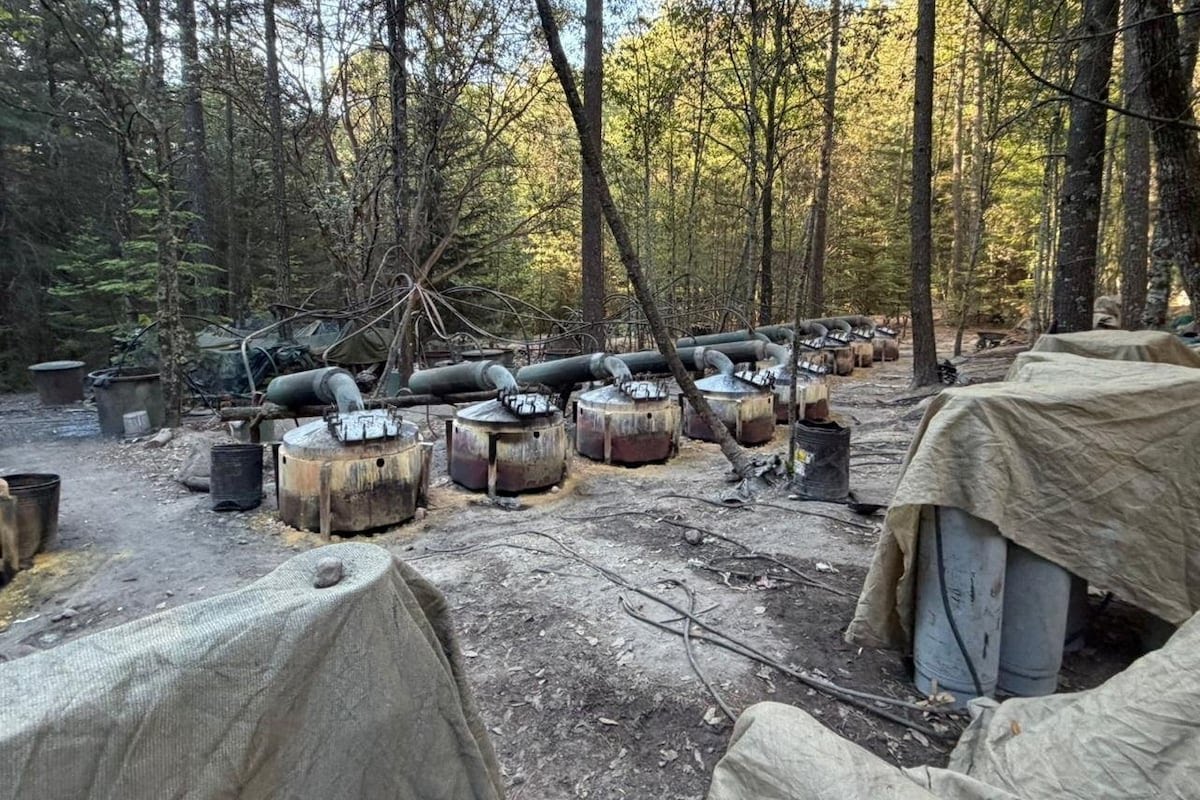 Era un "meganarcolaboratorio", la instalación desmantelada en la sierra de Chihuahua, confirma FGR