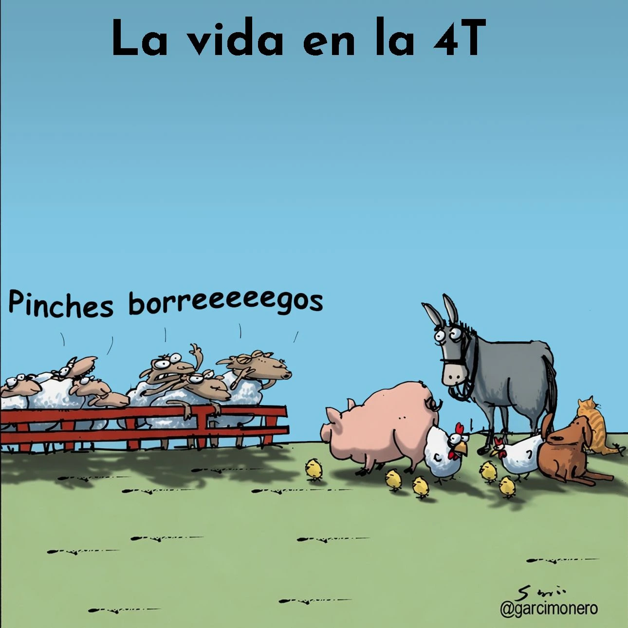 Borregos