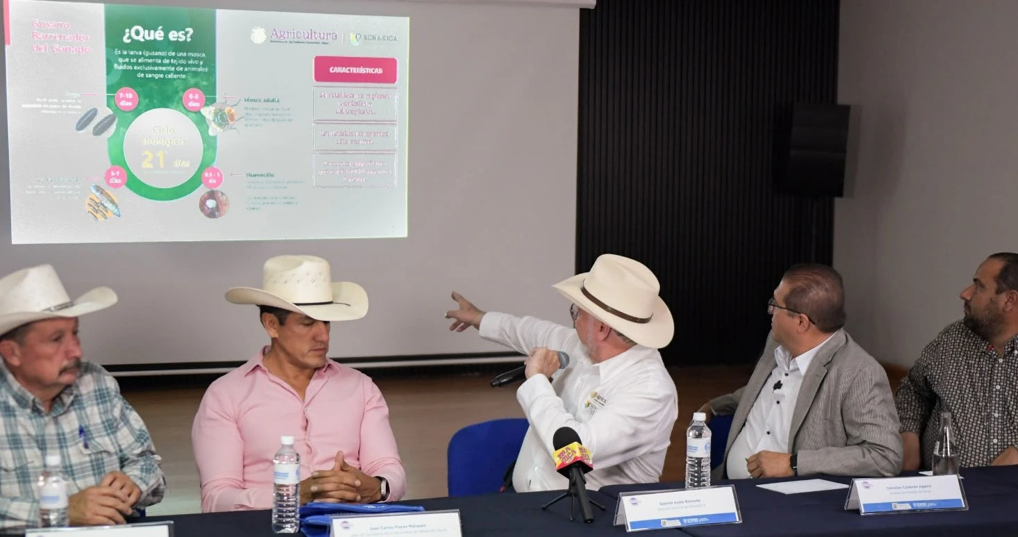 Dispersan en Chihuahua 2.5 millones de moscas estériles contra el gusano barrenador