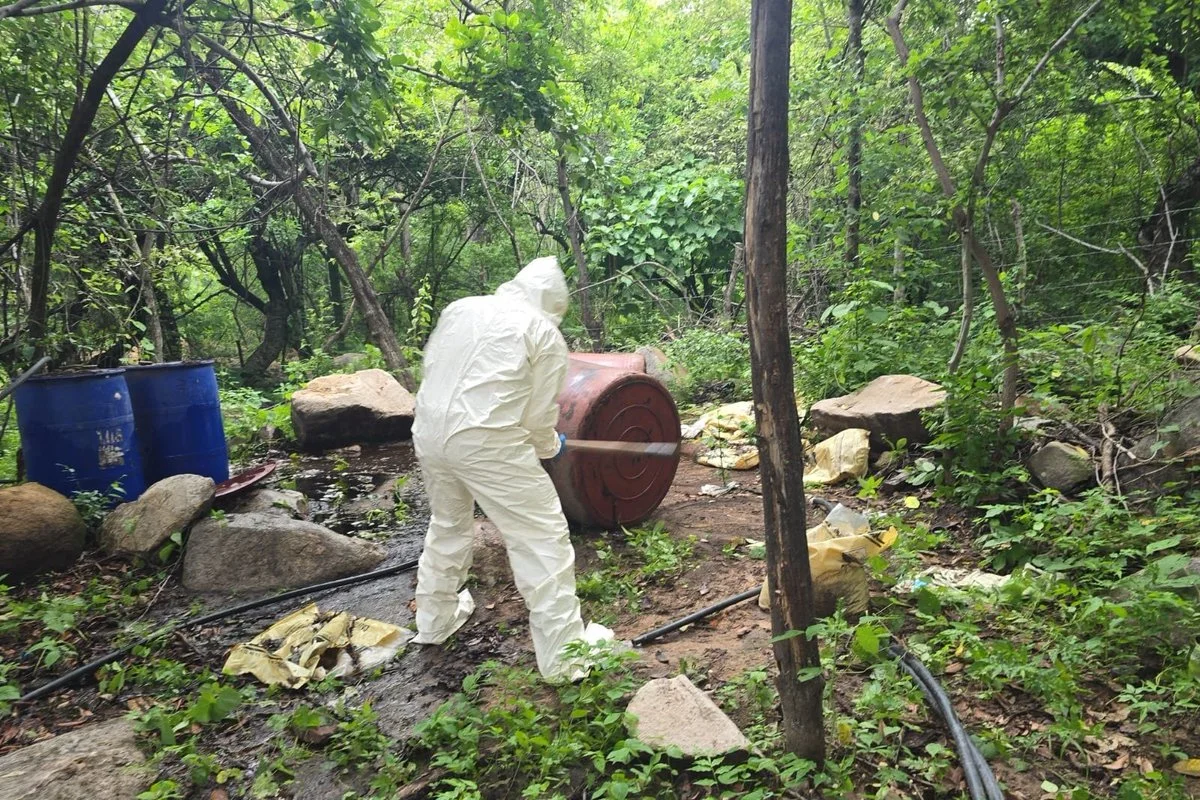 Desmantelan tres narcolaboratorios en Sinaloa; incautan tres mil litros de precursores químicos