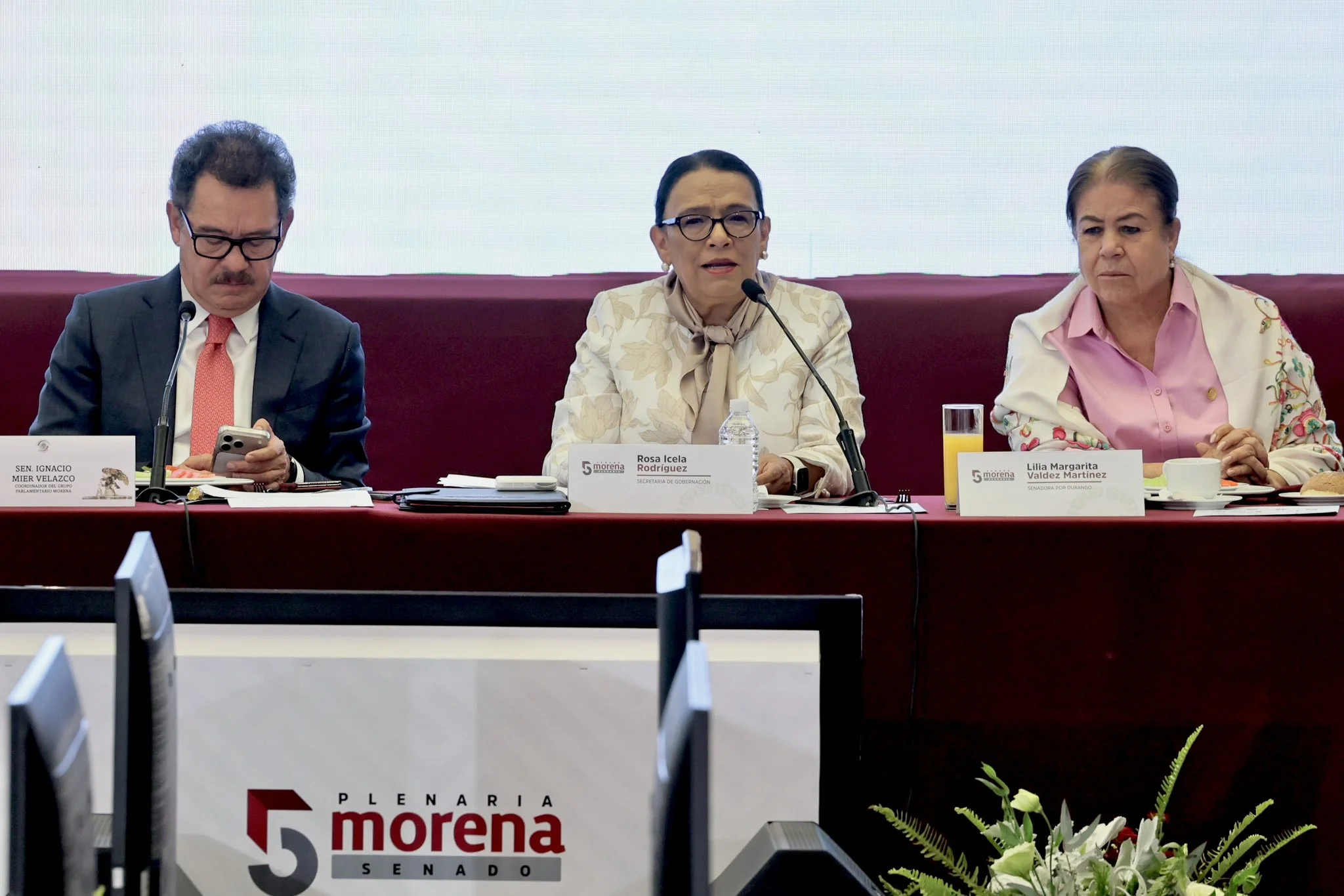 Rosa Icela advierte a diputados de Morena que ninguna ambición personal está por encima de México