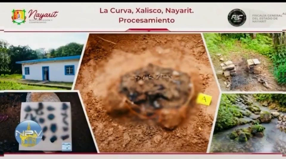 Hallan en Nayarit un posible centro de exterminio de seres humanos, como Rancho Izaguirre