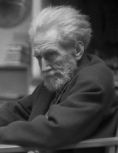 DISCUSIÓN: Los poemas de un viejo loco o genio, o las dos cosas