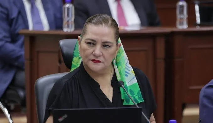 Dice Taddei que se va "con el deber cumplido” (destruyó al INE)